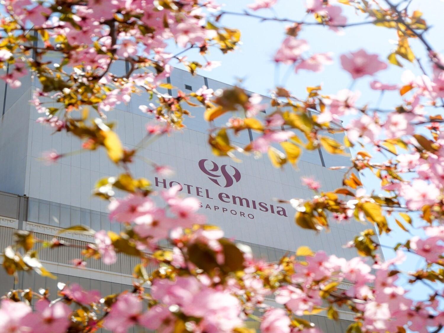 Hotel Emisia Саппоро Экстерьер фото